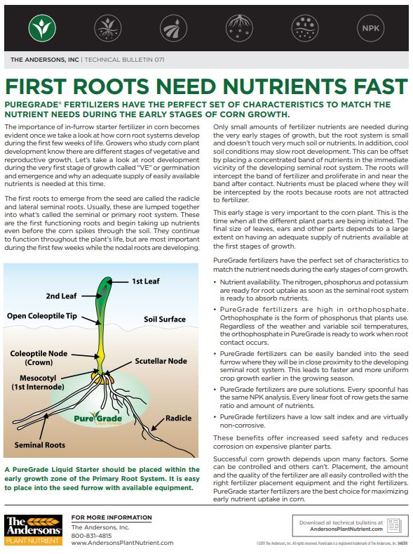Technical Bulletin 71: First Roots Need Nutrients Fast