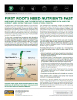 Technical Bulletin 071: First Roots Need Nutrients Fast