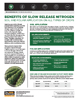  The Andersons Technical Bulletin 08 Benefits of Slow Release Nitrogen