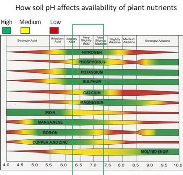 Figure 2: Nutrient availability vs. pH chart by Purdue University